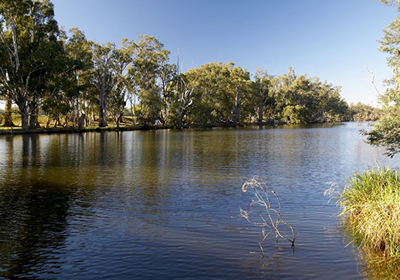 Banyule Flood Forum 